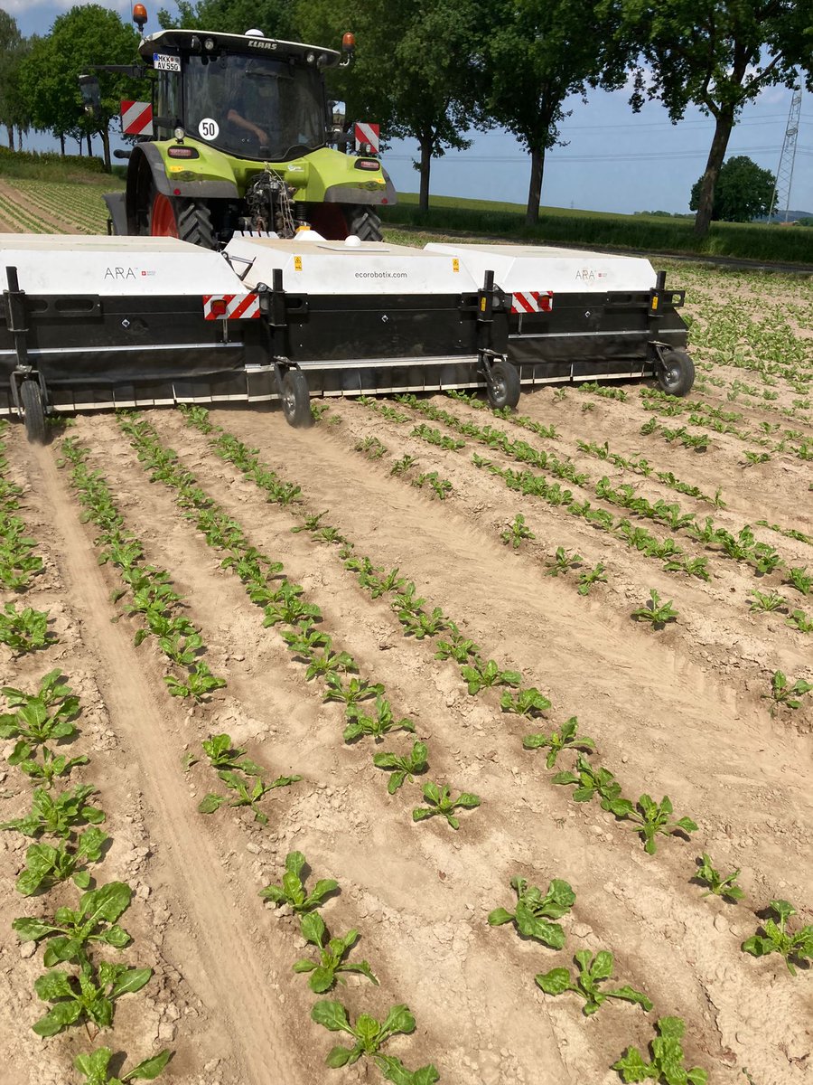 ecorobotix's tweet image. [Deutschland] Rübenfeldtag (Deutschland - Bad Salzuflen - Hölsen) mit @AGRAVIS_DE das war am Mittwoch, den 18. Mai. DANKE an alle Teilnehmer/innen
#demo #agtech #smartspraying