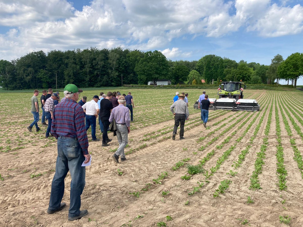 ecorobotix's tweet image. [Deutschland] Rübenfeldtag (Deutschland - Bad Salzuflen - Hölsen) mit @AGRAVIS_DE das war am Mittwoch, den 18. Mai. DANKE an alle Teilnehmer/innen
#demo #agtech #smartspraying