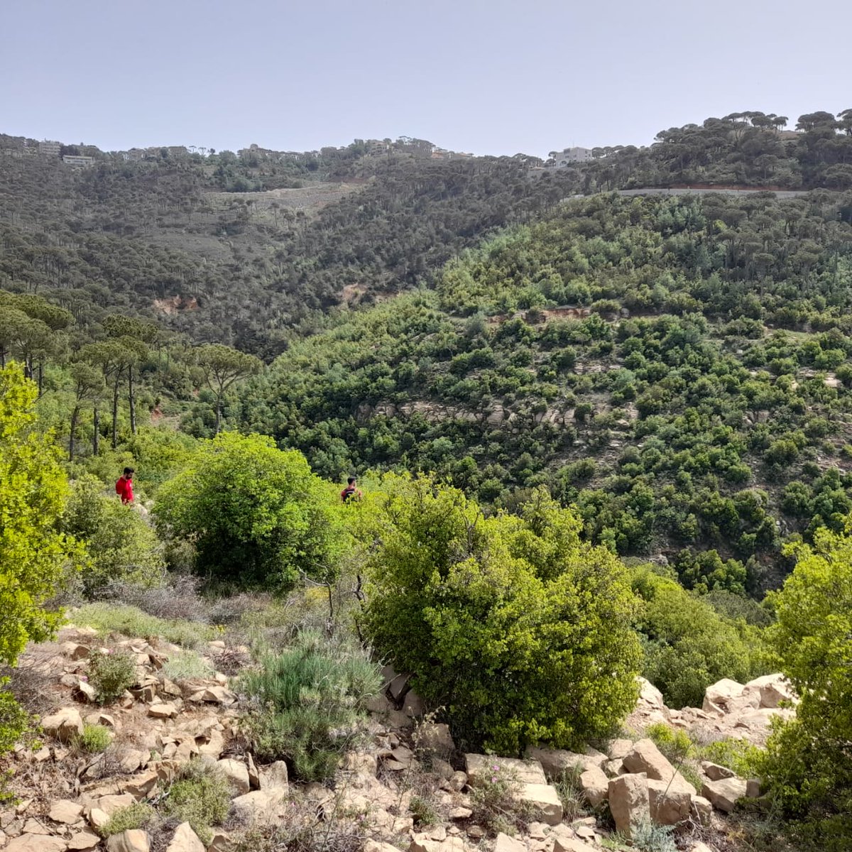CrossTalkNGO's tweet photo. Sat. 21 May,22 #freeofcharge #hike in #Zaraoun!
#Meetingtime @4:20pm #location https://t.co/UEdFOvrBQM #Dhour
#Departuretime 4:30pm
The hike is moderate, some paved roads, steep slopes, & bushy sections. Not suitable for young childrens.
Bring family and friends
Call 03-254310 https://t.co/Pc2RRRe8uw
