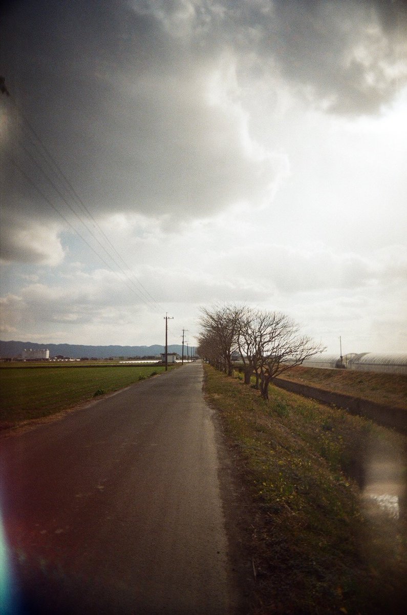 gelpants's tweet photo. P7らへん、ラストカメラでも撮ってた。
#lastcamera #35mm #film #トイカメラ https://t.co/OcJ9SVDXXU