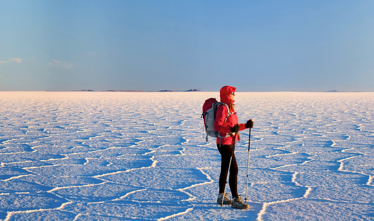 Allibert Trekking tweet media