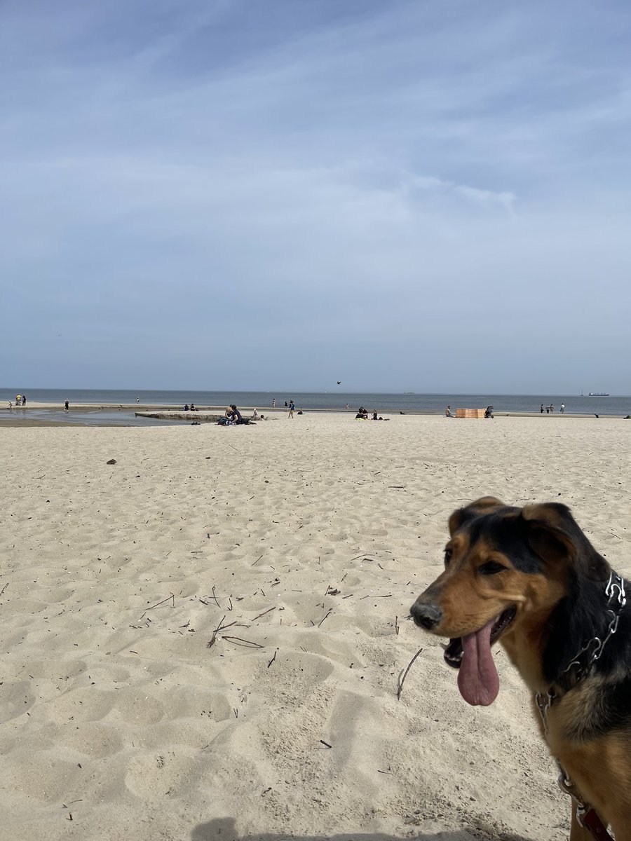 So how is Your day ?😎🐕
