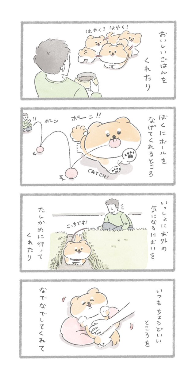 どんなところも
#こんにちはいぬです 