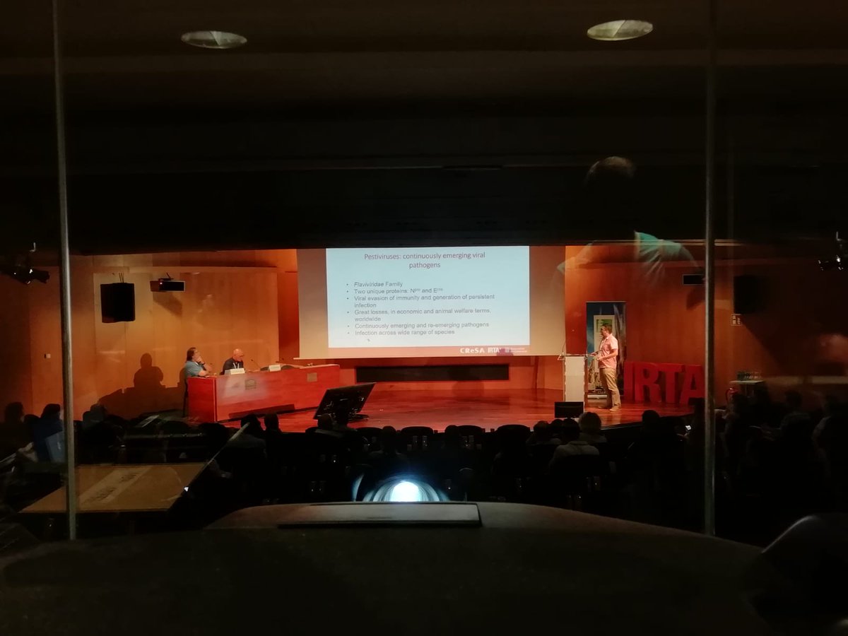 bohorquezalejo_'s tweet photo. Yours truly also presented yesterday on the newly described #OVPV and its capacity to infect 🐑  and 🐖. Importantly, there was crossreaction of this virus with #CSFV diagnosis, dangerous for control worldwide https://t.co/39Xd61nVGw