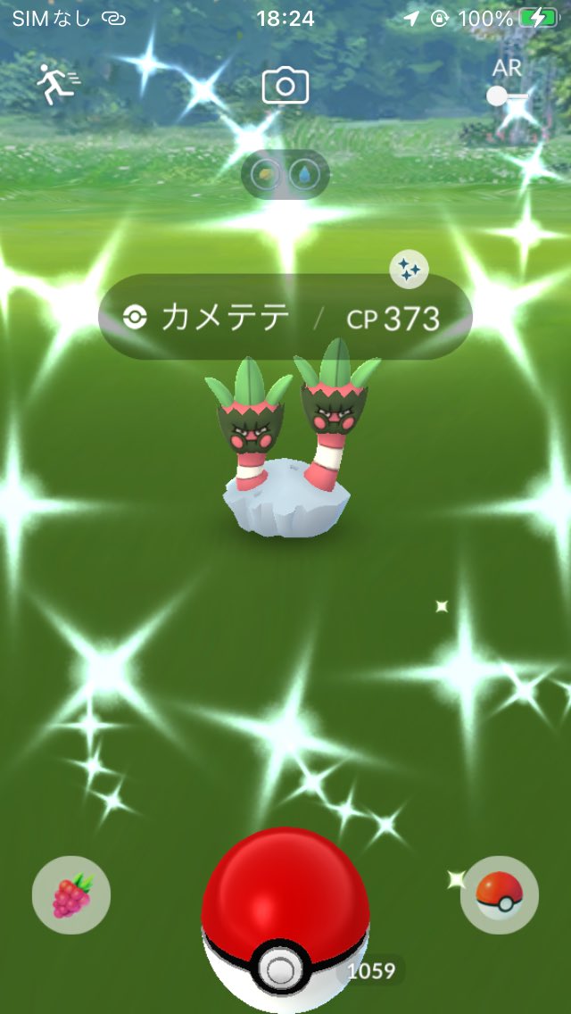 カメテテ Twitter Search Twitter