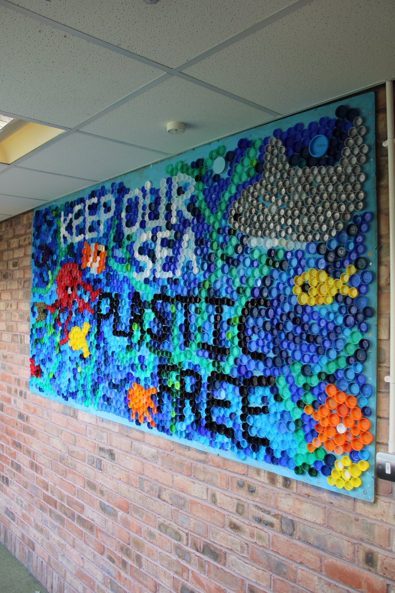 MortimerPrimary's tweet photo. The whole school have been saving plastic bottle tops to raise awareness of the dangers of plastic pollution and promote the message 'Keep Our Sea Plastic Free.' @SEALIFE_schools #SEALIFEseasavers https://t.co/suOoMvbncQ