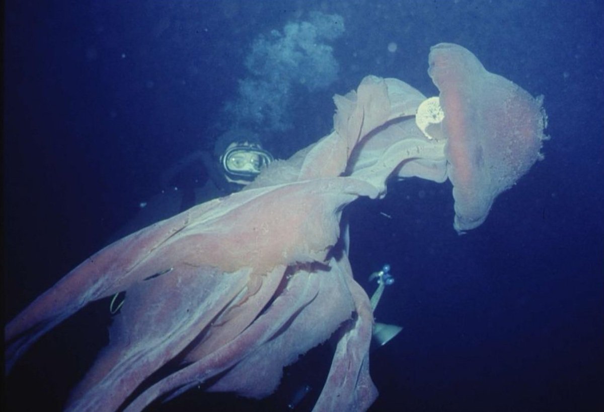 Hyun A Jung ✿ ☞Personal Body Designer (@hyun_aa_96) • Instagram photos and  videos, image size:1200x818