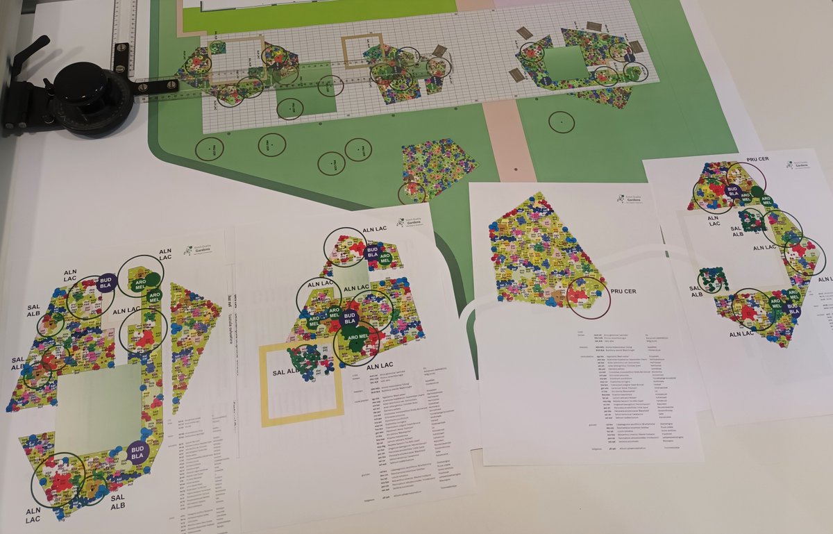 VOH_Appeltern's tweet photo. Vergroenen schoolplein: Tegels eruit en planten erin!

Het @merletcuijk heeft een stuk groener schoolplein gekregen. Zo’n 300 m2 grote betontegels zijn ‘gewipt’. Ook 160 m2 gras, dat hier op aansluit, heeft plaats gemaakt voor naturalistische beplanting en 19 nieuwe bomen. https://t.co/I0cF4nOjT4