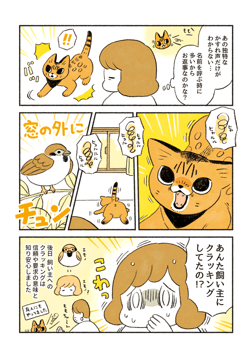 【再掲】
ももちゃんの鳴き声 