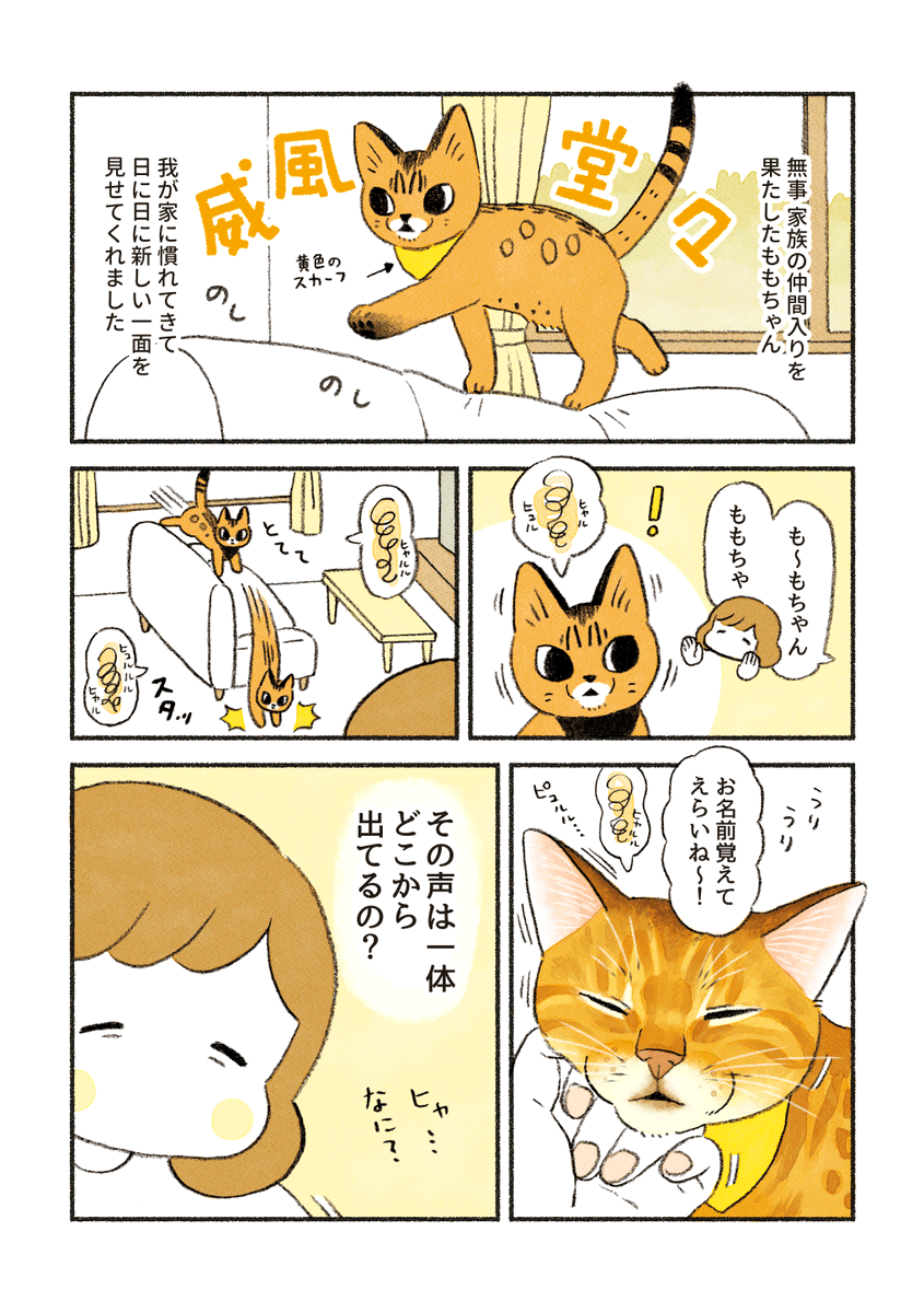 【再掲】
ももちゃんの鳴き声 