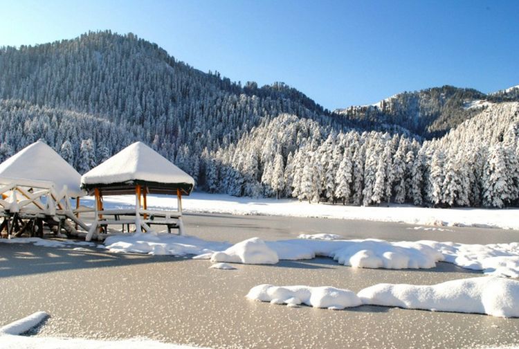PitaTour's tweet photo. #Khajjiar,  the Mini #Switzerland of #India, is a small hill station in #HimachalPradesh.
It's a playground for adventurers, with a small-town ambiance, and stunning surroundings spanning lush deodar woods, grassy meadows, and snowy mountains. 

#pita
#Indiatravel https://t.co/2DgVC2UsgL