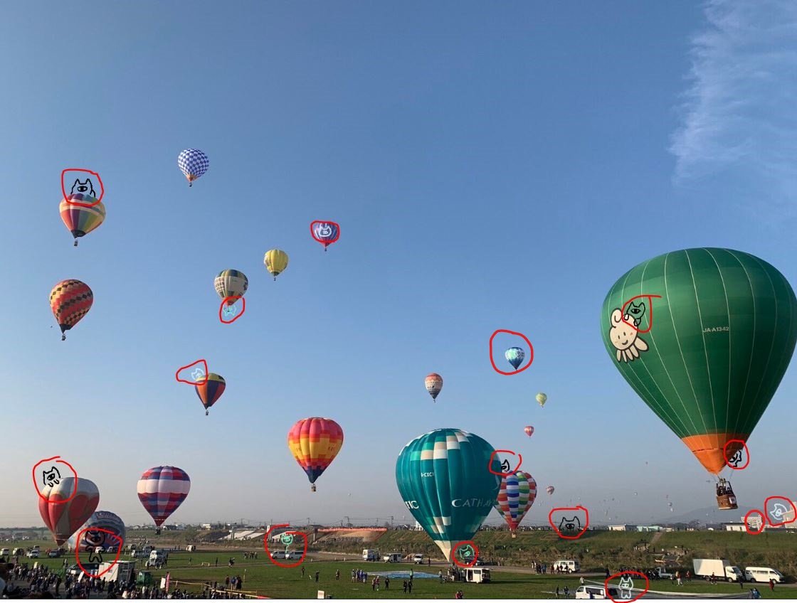 Sharrankky tweet media