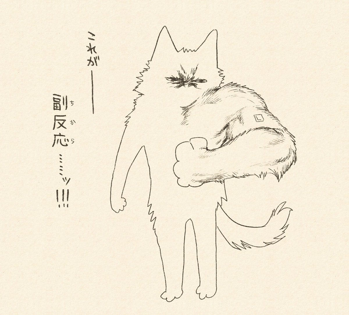 3回目、初めて筋肉痛が来る 