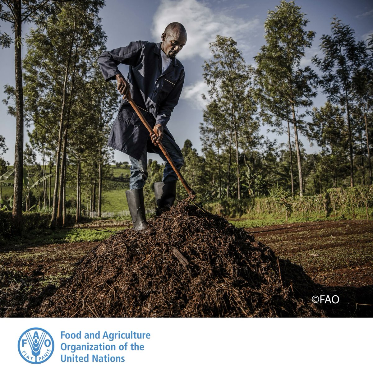 FAOAfrica's tweet photo. Young farmers need to be part of the planning and negotiation processes for the design and implementation of gender-responsive policies and investments in agriculture and climate solutions.

#Foodsecurity
#Agrifoodsystems https://t.co/f5rksvoJjB