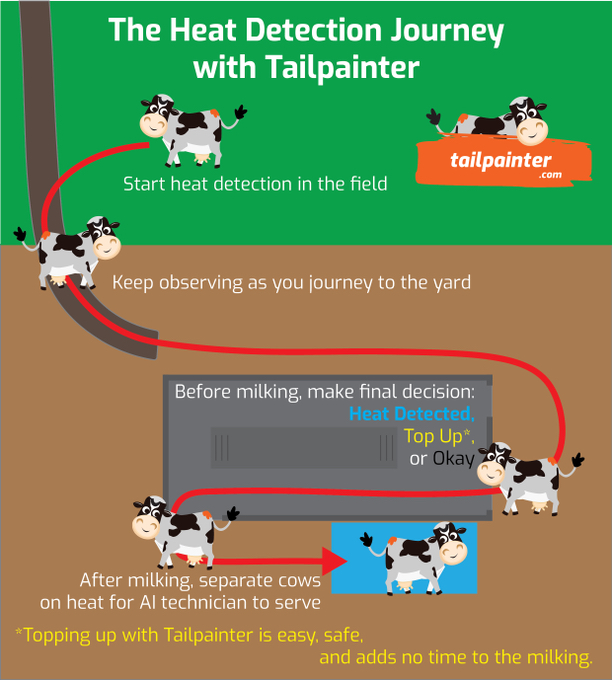tailpainter's tweet image. The Heat Detection Journey! Topping up is a very important step in the heat detection process which is made exceptionally easy with the Tailpainter applicator or Daisy Paint Brush! 🕐 💯

#tailpainting #heatdetection #dairyfarming #irishfarming #farming