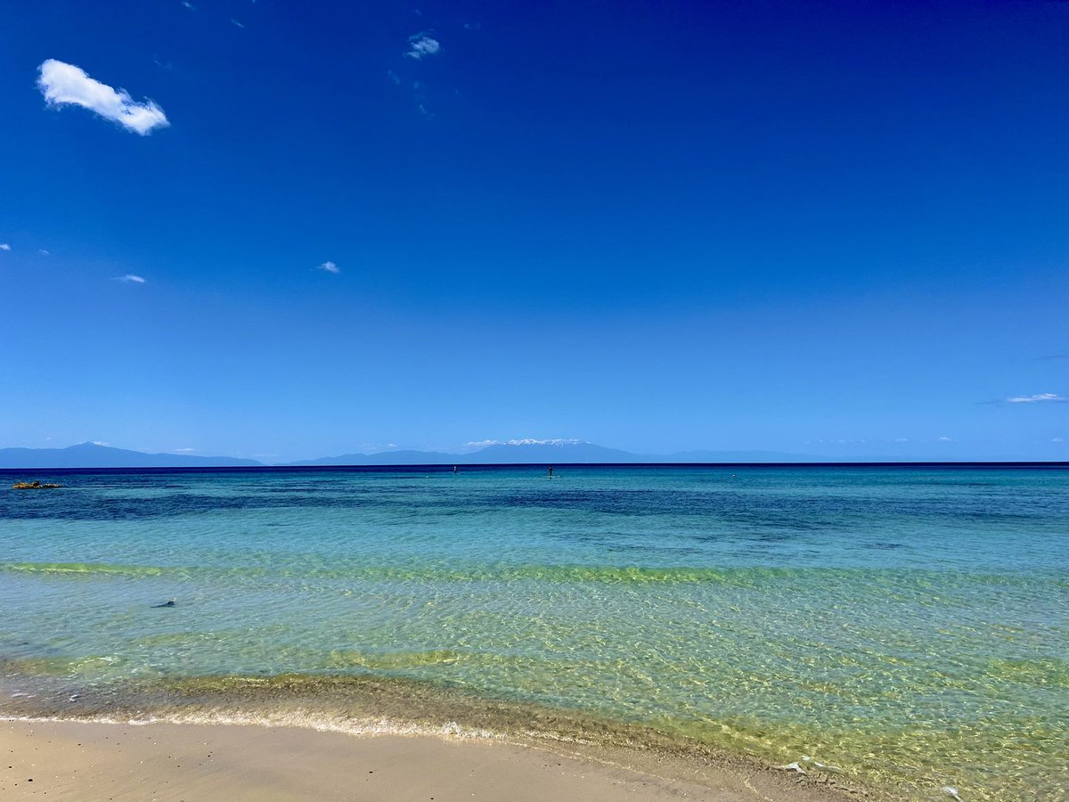 Cold Blooded Shiller tweet media