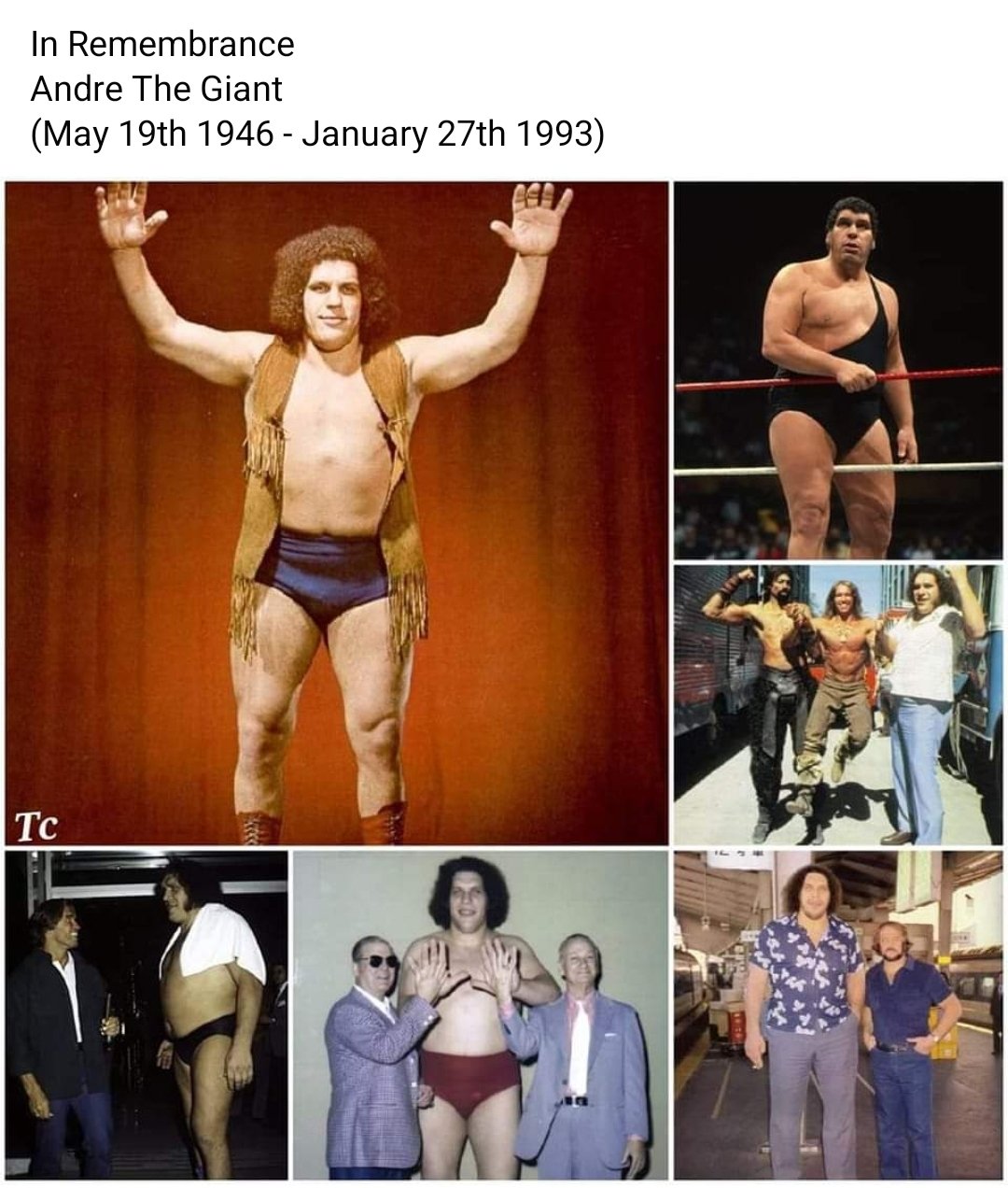 Happy birthday to Andre the giant. Would have been 76 today 