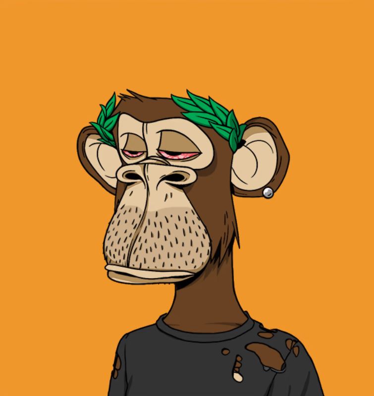 thgirypoc tweet media