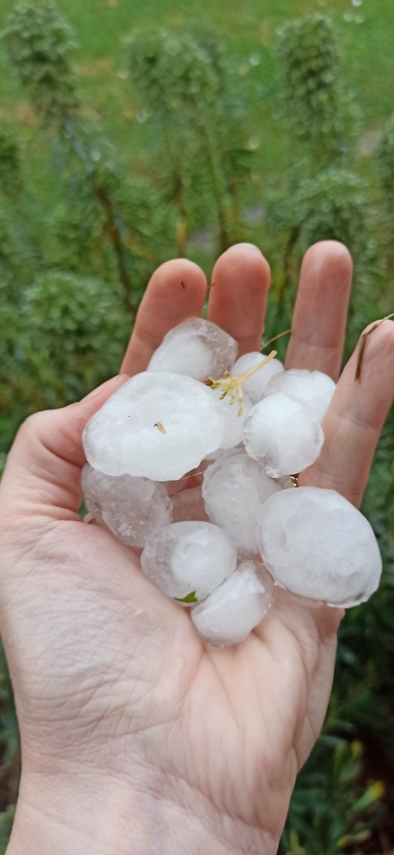 PicotMuriel's tweet photo. On voulait de la 🌧🌧, on a eu ⛈️⛈️ avec de la grêle à la frontière Belge entre Lille et Valenciennes @SergeZaka https://t.co/ZzQ4XvnFcT