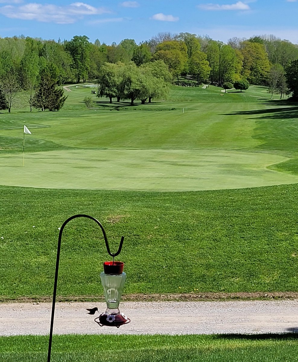 Turfgeneral's tweet photo. The course is rounding into shape. #happyturf #happysuper https://t.co/fTOj2Heyls