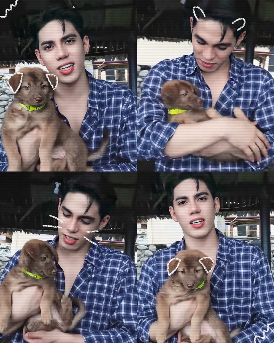 stellfolder's tweet photo. stell with cutie chuchay 🐶
this pup looks comfortable with him, so soft ♡

@stellajero_ 
#SB19_STELL @SB19Official https://t.co/0odhySzvfN