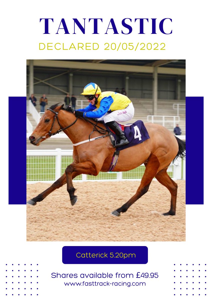 FastTrackRacin1's tweet photo. Hoping for another good run from TANTASTIC tomorrow @CatterickRaces  under @weeto_10  #HorseRacing #club #fun https://t.co/dwGyzfWh4C