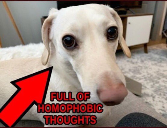 ningpops's tweet image. playing stardew valley again