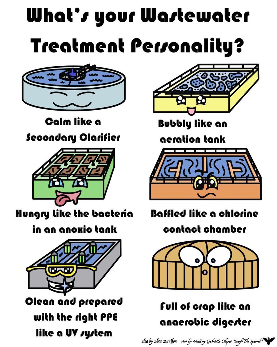 Sina Borzooei tweet media