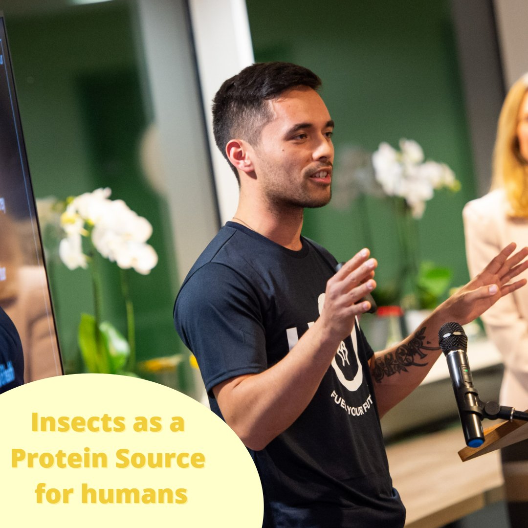 HOP is leading the way forward with the UK’s first PhD research project in cricket powder protein which is co-supervised by HOP's co-founder, Dr Geoffrey Knott who said “it’s a great milestone….2 years' work in the making to get here.”

Read more below👇

hopbar.co.uk/post/hop-creat…