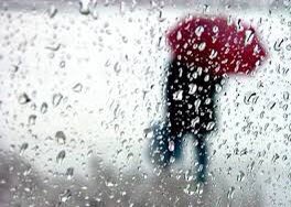demirrkiran_'s tweet image. Yaz Yağmurları,