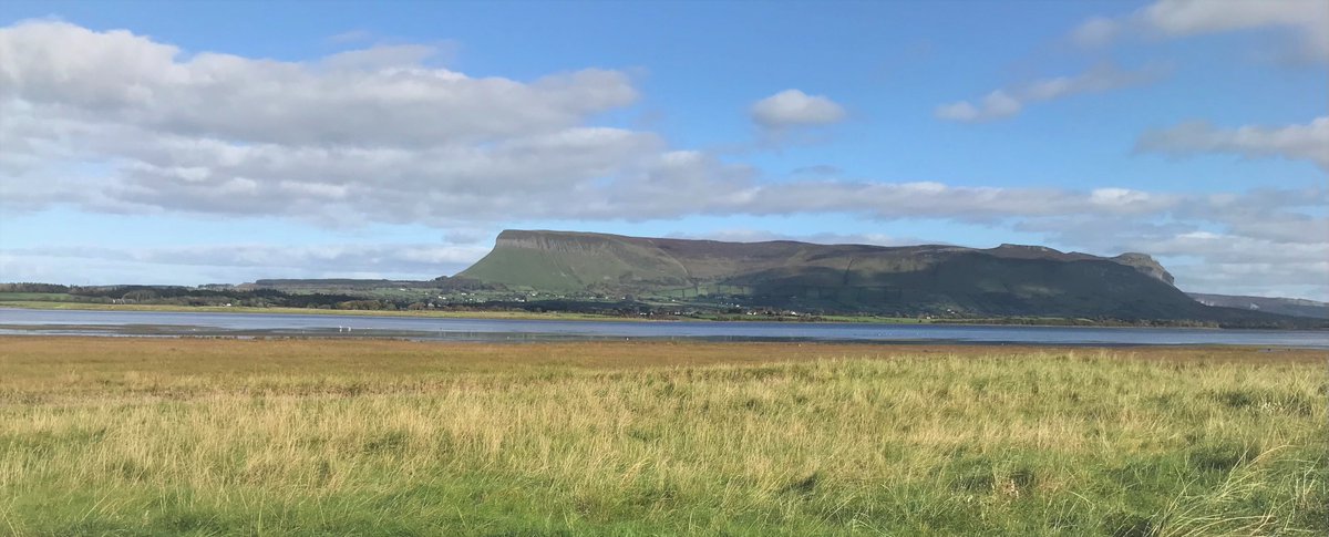 @BRAINDiabetes tweet media