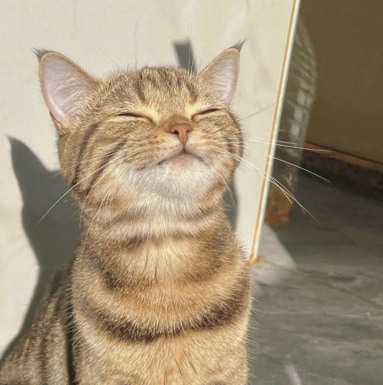 catseokjinnie's tweet photo. sun kissed and happy ☀️ https://t.co/YNjmTAiUf0