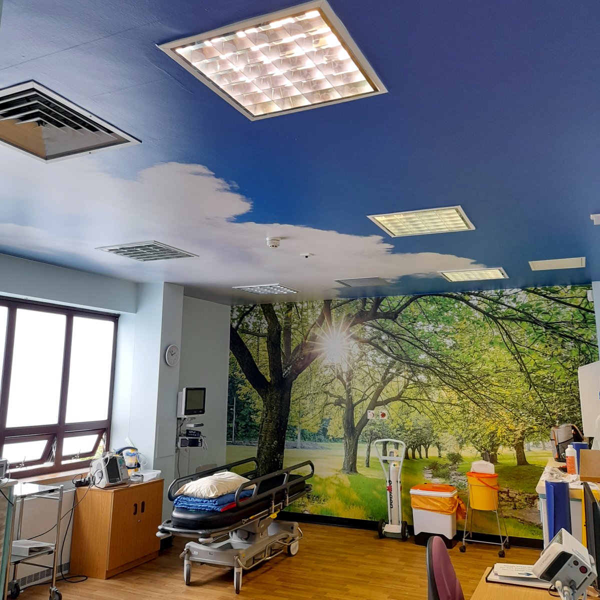 pfi_signs's tweet photo. #Environmental #graphics can make a big difference to how people feel.  

These graphics in a #hospital treatment room make patients feel more at ease.  It works.

Good graphics can have equally powerful impacts in #office and #retail environments too.   

#workplace #motivation https://t.co/viGyJq8dcb
