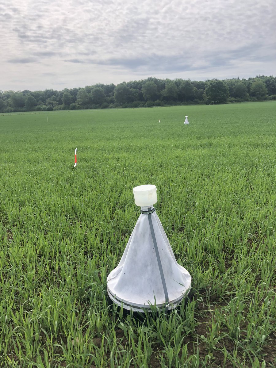 IsaKilianSalas's tweet photo. #fieldwork season 2022 for #DรผNaMeD project has started and this year with more helpers! ๐ช what can we expect this year? More #emergencetraps, #pitfalltraps , #eDNA and (newly this year ๐) #MarkRelease experiments https://t.co/T4TZLUKiGI