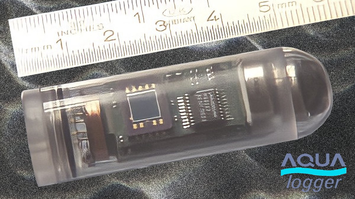 Can you remember what you were doing in 1999? We were advertising our AQUAlogger range! "Up to ¾ million readings, built-in temperature, pressure, and light sensors, 5 spare channels, 100m or 1000m pressure case, 18-month battery life, and only 57mm long."
#ThrowbackThursday #Tbt