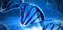 ForensicPrivate tweet picture