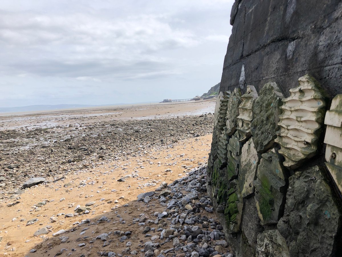 BBCRadioWales's tweet photo. A sea hive, on a sea wall, at the sea shore....how does that help marine life and us? #Country Focus 
https://t.co/rDV95wVoBj this Sunday morning at 7 o'clock
@carolineevans10 @Car_Y_Mor @SwanseaUni @Breconswifts @rwtwales @BywBod https://t.co/3f36TsWT2u
