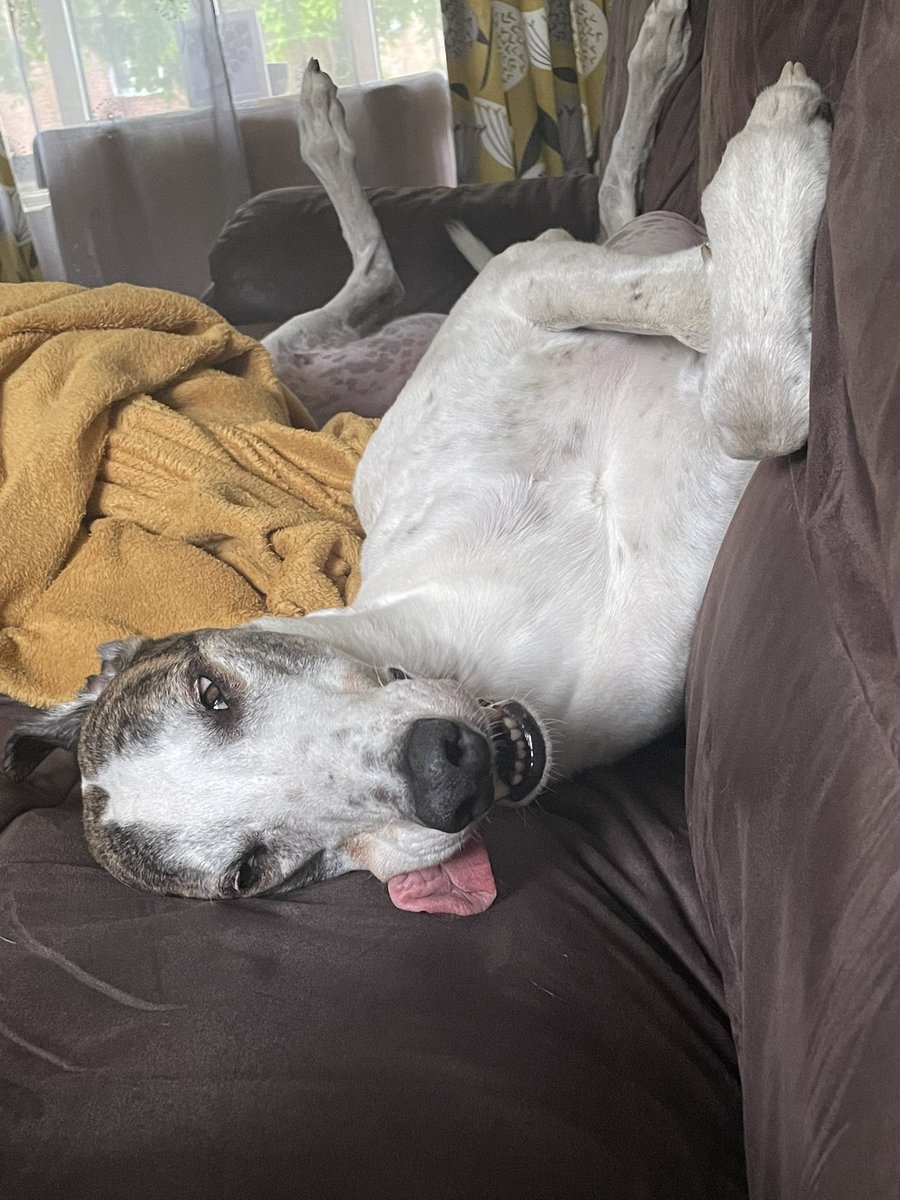 Apparently it looks like I’ve got a dried up bit of ham hanging out of my mouth? 

I wish it was ham 😑