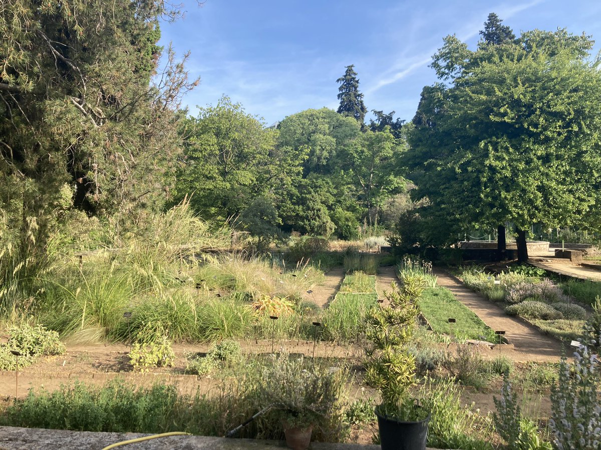 FabienArnaud2's tweet photo. La @Fondationceiba, créée par le groupe immobilier @socri_reim, s’engage au côté du fonds de dotation du Jardin des plantes de #Montpellier, de @umontpellier et de @montpellier_ pour sauver les #arbres 🌳 historiques du jardin. 60 000 € remis grâce à une soirée de gala. https://t.co/Mu2LtZe4EA