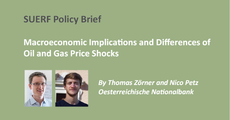 suerf_org's tweet photo. #SUERFpolicybrief - #Macroeconomic Implications and Differences of #Oil and #Gas #PriceShocks - by Thomas Zörner and @petznico @oenb
https://t.co/GXW3N4FvGg