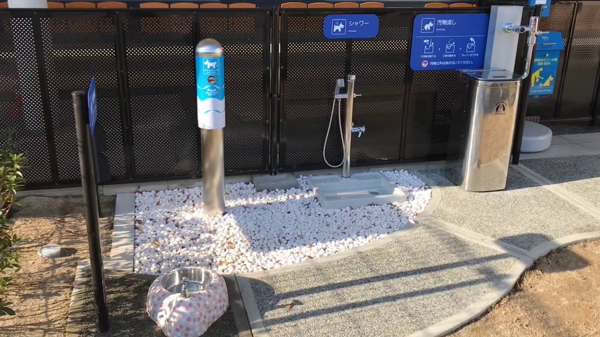 FuerteTimes's tweet photo. Following the examples from airports in other countries, Fuerteventura Airport has opened a new restroom zone for our furry friends.

tap the link https://t.co/60seCT2DvX

#fuerteventuratimes #airports #fuerteventuraairports #fuerteventura #modern #pets https://t.co/cJLOzmZq0H