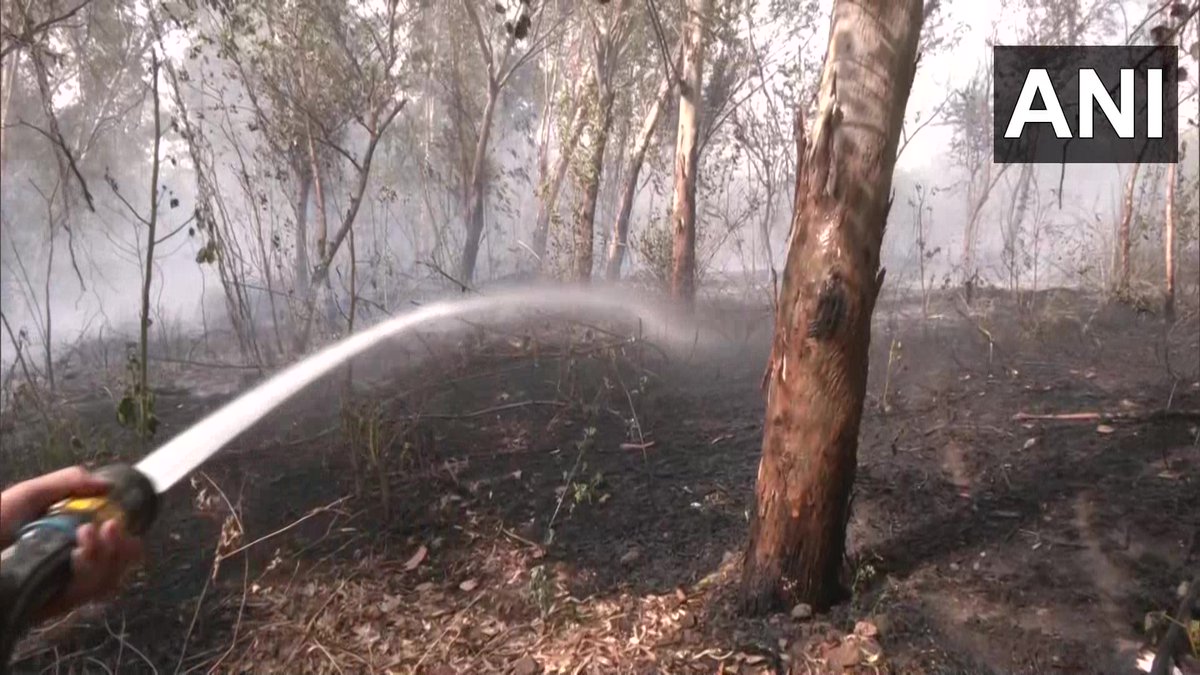 RT @ANI: Delhi | Fire breaks out in the forest area near Majnu Ka Tila; 2 fire tenders at the spot https://t.co/uiS4CKn3vK