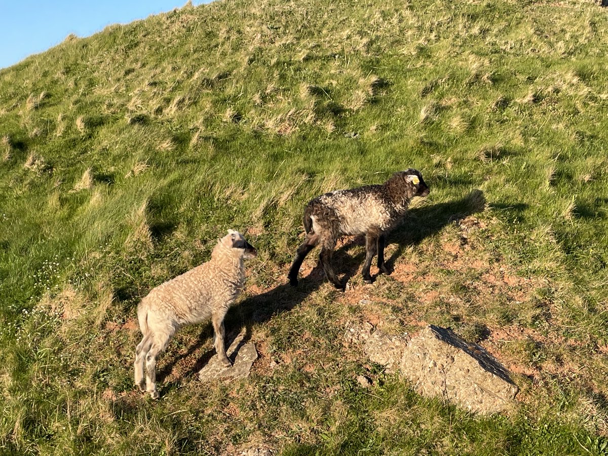 Heute erwarten wir 925 Gäste auf unserer schönen Insel