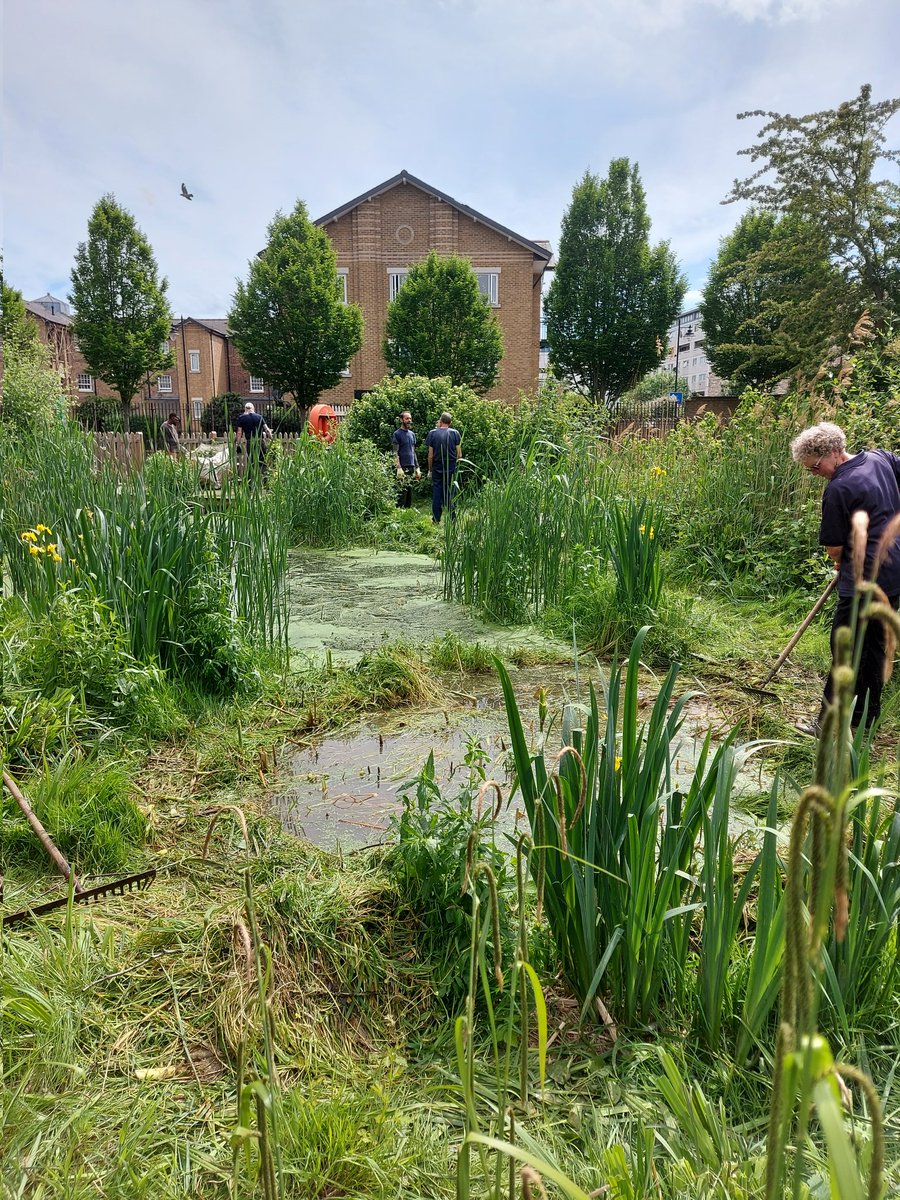 Sara Dei tweet media