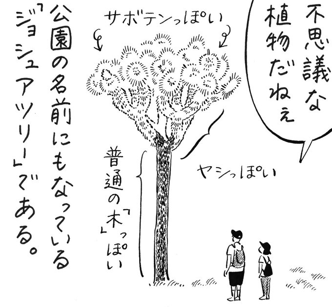 【あき地】コミック連載「#ニューヨークで考え中」をアップしました。一瞥しただけでは、その形状を言い表すのが難しい。不思議な植物がポコポコ生えている、カリフォルニアの砂漠へやって来た。|第254話 夢の星
https://t.co/4pBf50LySC 