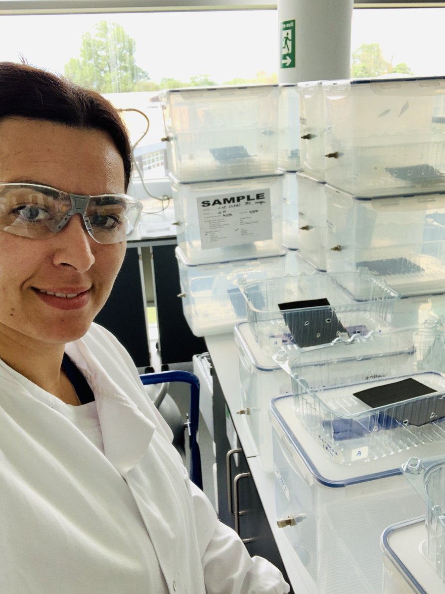 KatherineModos's tweet photo. Productive day @PSL_Cranfield this week. It's all coming together. https://t.co/fsWo6Bbc4s