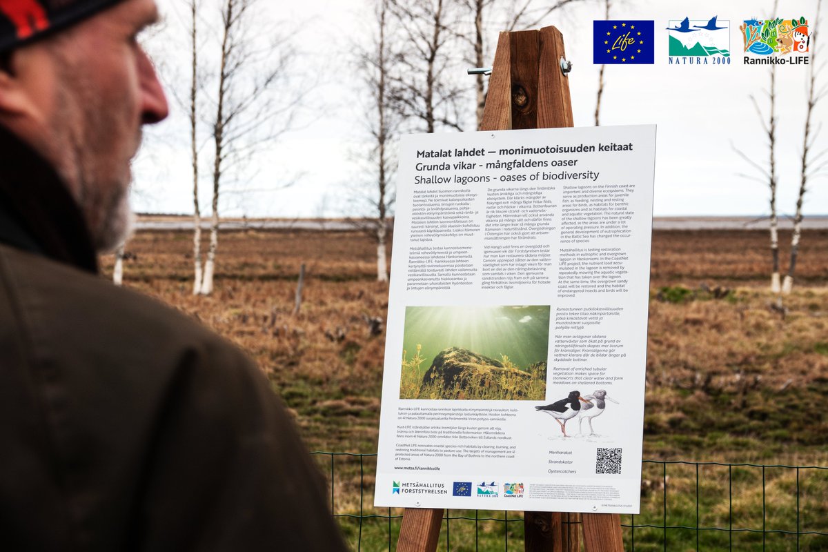Luontopalvelut's tweet photo. EU:n #LIFEprogramme täyttää lauantaina 30v! #LIFE-rahoituksella mm. tutkitaan ja suojellaan rannikkoluontoa ja pinnanalaista maailmaa, sekä lisätään tietoa ja ymmärrystä luonnosta. Ja paljon, paljon muuta. Kiitos #LIFEis30!  
#RannikkoLIFE #Biodiversea https://t.co/2xHd1CBsyu