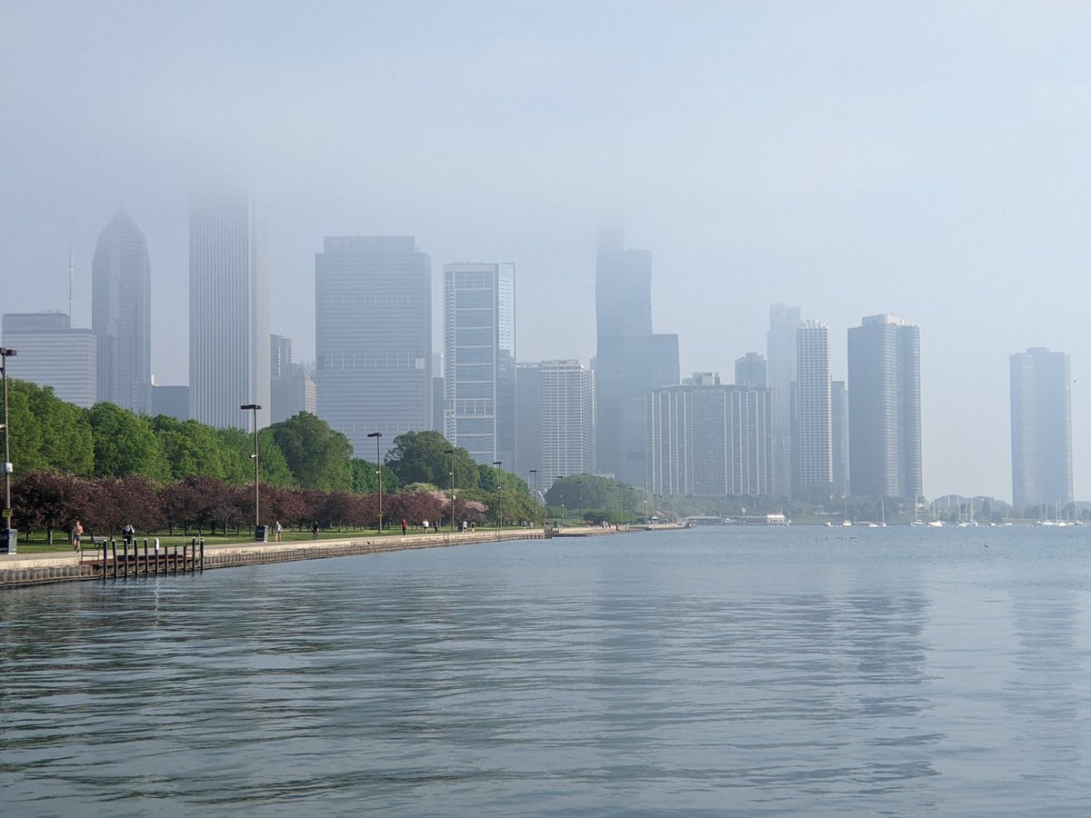 EricFalquero's tweet image. No better way to bless the #CJS2022 day than with a lifer: red-winged blackbird. Seems about as common as a robin here. No less special.

Good morning, Chicago. Ready to learn! 📚