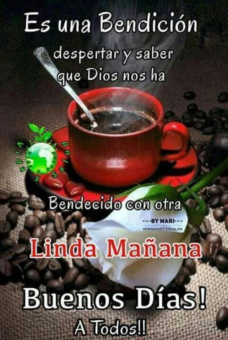 elcafetero_64's tweet photo. https://t.co/hooZ2RH2ig