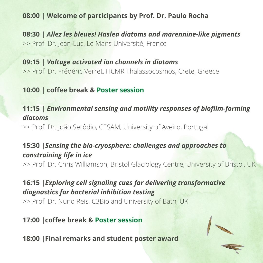 greenprojectpt's tweet photo. Soon we will host the International GREEN Workshop: Signaling Transduction in Microbial Communities.

We are excited to learn more about diatom sensing and bioelectronics from our guest experts.

#greenenergy #bioelectronics #bioenergy #quorumsensing #diatoms https://t.co/KTvdRCGcoD